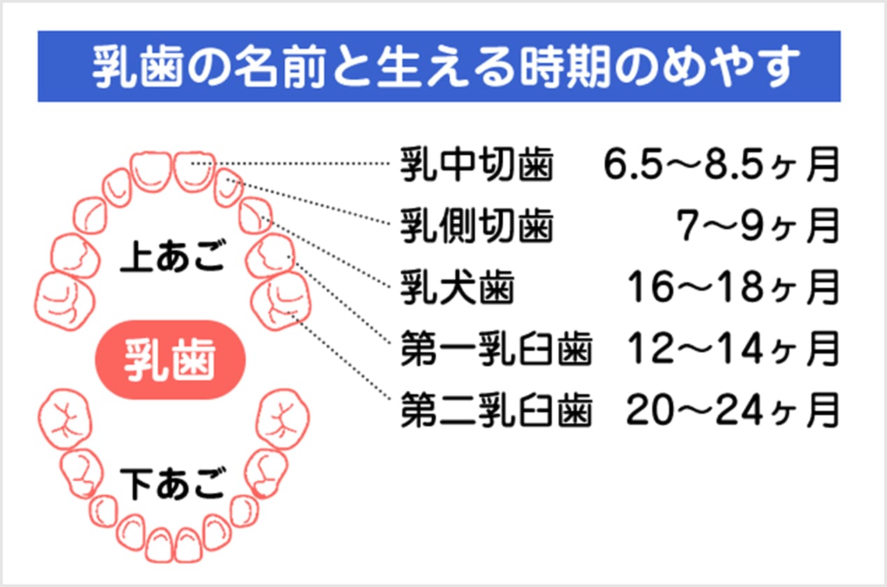 乳児期（0～1才） #01