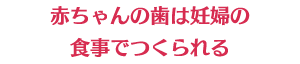 赤ちゃんの歯は妊婦の食事でつくられる