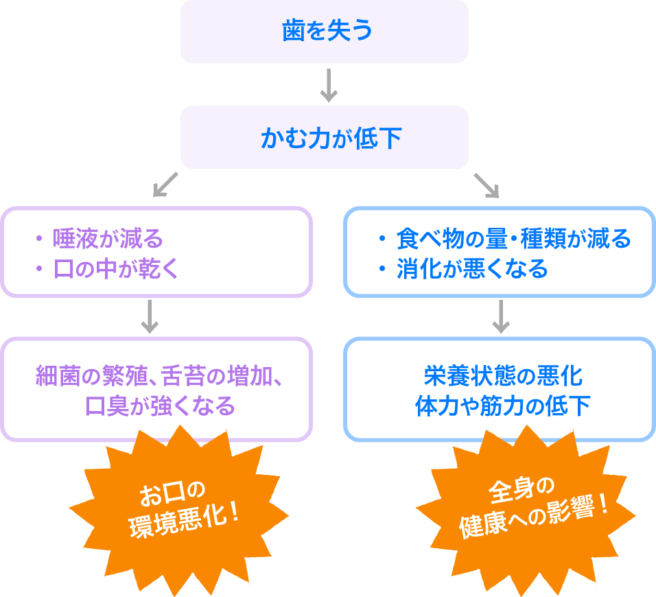 かむことは、抗菌や清浄の役割のある唾液の分泌を促す働きがあります。