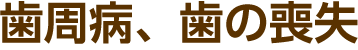 歯周病、歯の喪失